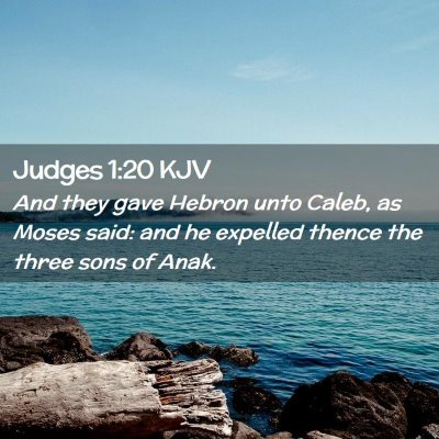 Picture 02 - Judges 1:20 KJV - And they gave Hebron unto Caleb, as Moses said: - Bible Verse Picture