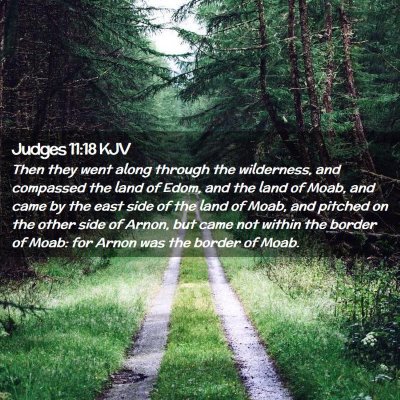 Picture 02 - Judges 11:18 KJV - Then they went along through the wilderness, and - Bible Verse Picture