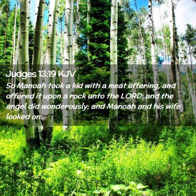 Picture 02 - Judges 13:19 KJV - So Manoah took a kid with a meat offering, and - Bible Verse Picture