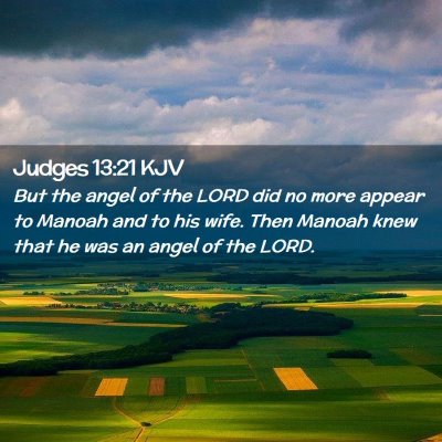 Picture 02 - Judges 13:21 KJV - But the angel of the LORD did no more appear to - Bible Verse Picture