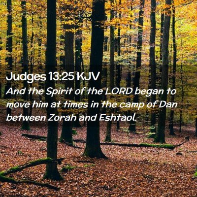 Picture 02 - Judges 13:25 KJV - And the Spirit of the LORD began to move him at - Bible Verse Picture