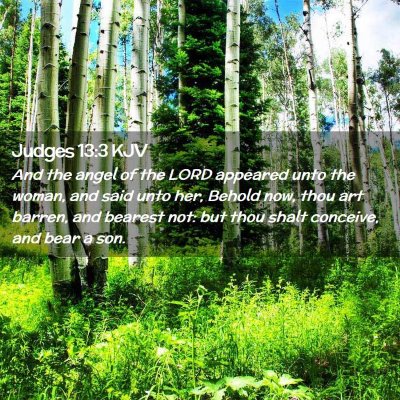 Picture 02 - Judges 13:3 KJV - And the angel of the LORD appeared unto the - Bible Verse Picture