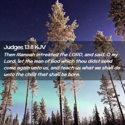 Picture 02 - Judges 13:8 KJV - Then Manoah intreated the LORD, and said, O my - Bible Verse Picture