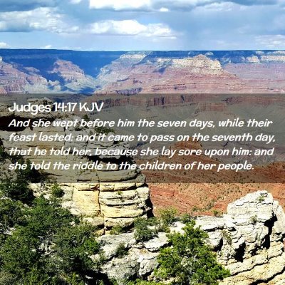 Picture 02 - Judges 14:17 KJV - And she wept before him the seven days, while - Bible Verse Picture