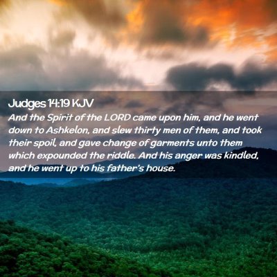 Picture 02 - Judges 14:19 KJV - And the Spirit of the LORD came upon him, and he - Bible Verse Picture