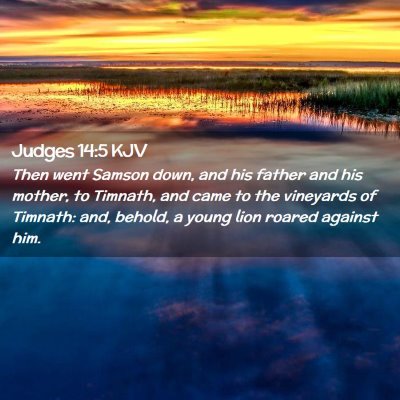 Picture 02 - Judges 14:5 KJV - Then went Samson down, and his father and his - Bible Verse Picture