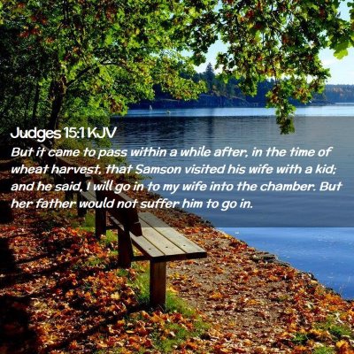Picture 02 - Judges 15:1 KJV - But it came to pass within a while after, in the - Bible Verse Picture
