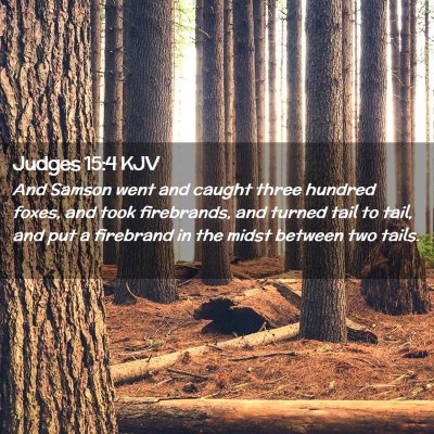 Picture 02 - Judges 15:4 KJV - And Samson went and caught three hundred foxes, - Bible Verse Picture