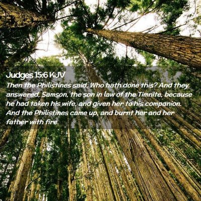 Picture 02 - Judges 15:6 KJV - Then the Philistines said, Who hath done this? - Bible Verse Picture