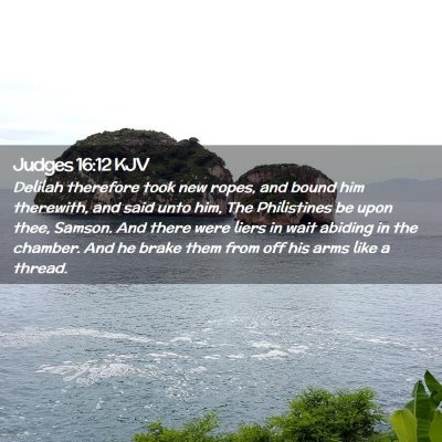 Picture 02 - Judges 16:12 KJV - Delilah therefore took new ropes, and bound him - Bible Verse Picture