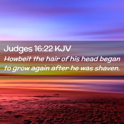 Picture 02 - Judges 16:22 KJV - Howbeit the hair of his head began to grow again - Bible Verse Picture