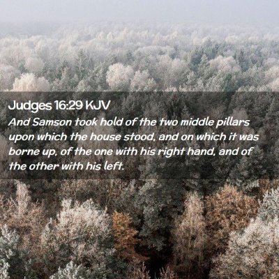 Picture 02 - Judges 16:29 KJV - And Samson took hold of the two middle pillars - Bible Verse Picture