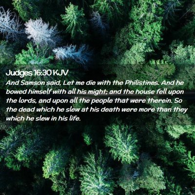Picture 02 - Judges 16:30 KJV - And Samson said, Let me die with the Philistines. - Bible Verse Picture