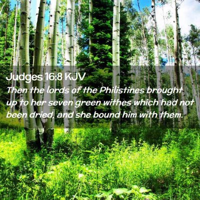 Picture 02 - Judges 16:8 KJV - Then the lords of the Philistines brought up to - Bible Verse Picture