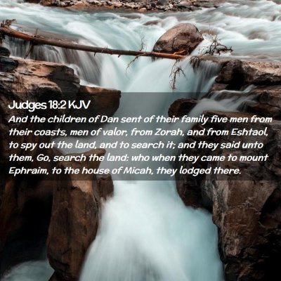 Picture 02 - Judges 18:2 KJV - And the children of Dan sent of their family five - Bible Verse Picture