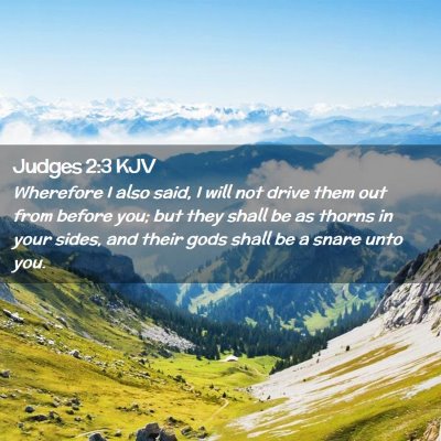 Picture 02 - Judges 2:3 KJV - Wherefore I also said, I will not drive them out - Bible Verse Picture