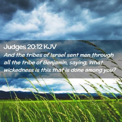 Picture 02 - Judges 20:12 KJV - And the tribes of Israel sent men through all the - Bible Verse Picture