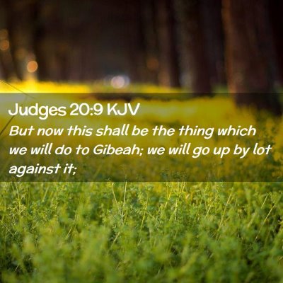 Picture 02 - Judges 20:9 KJV - But now this shall be the thing which we will do - Bible Verse Picture