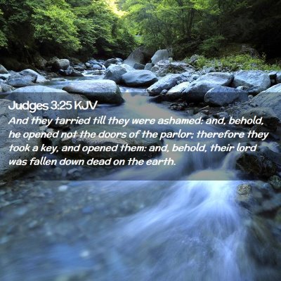 Picture 02 - Judges 3:25 KJV - And they tarried till they were ashamed: and, - Bible Verse Picture