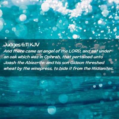 Picture 02 - Judges 6:11 KJV - And there came an angel of the LORD, and sat - Bible Verse Picture