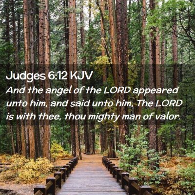 Picture 02 - Judges 6:12 KJV - And the angel of the LORD appeared unto him, and - Bible Verse Picture