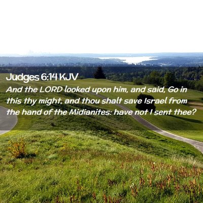 Picture 02 - Judges 6:14 KJV - And the LORD looked upon him, and said, Go in - Bible Verse Picture
