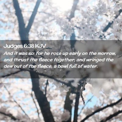 Picture 02 - Judges 6:38 KJV - And it was so: for he rose up early on the - Bible Verse Picture