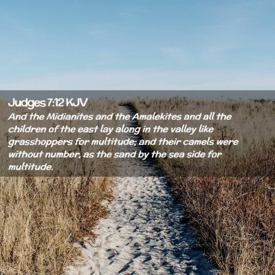 Picture 02 - Judges 7:12 KJV - And the Midianites and the Amalekites and all the - Bible Verse Picture