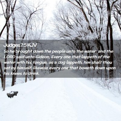 Picture 02 - Judges 7:5 KJV - So he brought down the people unto the water: and - Bible Verse Picture