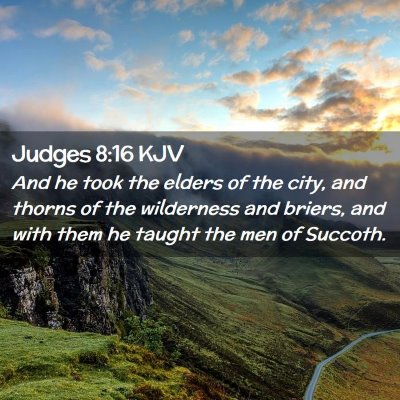 Picture 02 - Judges 8:16 KJV - And he took the elders of the city, and thorns of - Bible Verse Picture