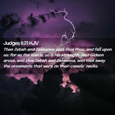 Picture 02 - Judges 8:21 KJV - Then Zebah and Zalmunna said, Rise thou, and fall - Bible Verse Picture