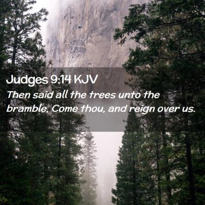 Picture 02 - Judges 9:14 KJV - Then said all the trees unto the bramble, Come - Bible Verse Picture