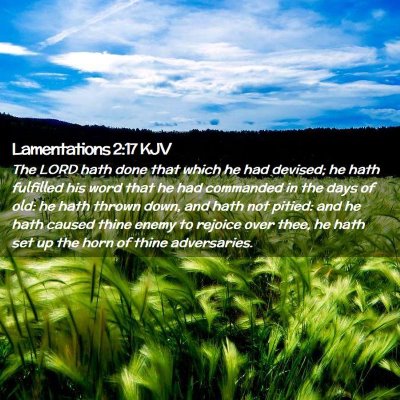 Picture 02 - Lamentations 2:17 KJV - The LORD hath done that which he had devised; he - Bible Verse Picture