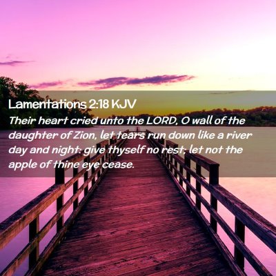 Picture 02 - Lamentations 2:18 KJV - Their heart cried unto the LORD, O wall of the - Bible Verse Picture