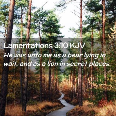 Picture 02 - Lamentations 3:10 KJV - He was unto me as a bear lying in wait, and as a - Bible Verse Picture