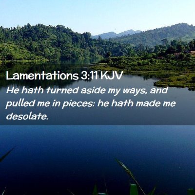Picture 02 - Lamentations 3:11 KJV - He hath turned aside my ways, and pulled me in - Bible Verse Picture