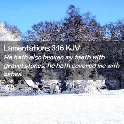 Picture 02 - Lamentations 3:16 KJV - He hath also broken my teeth with gravel stones, - Bible Verse Picture