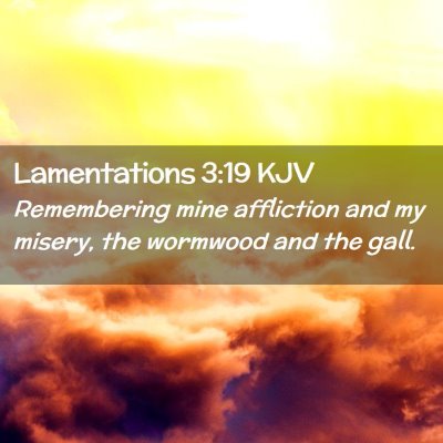 Picture 02 - Lamentations 3:19 KJV - Remembering mine affliction and my misery, the - Bible Verse Picture