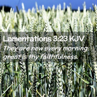 Picture 02 - Lamentations 3:23 KJV - They are new every morning: great is thy - Bible Verse Picture