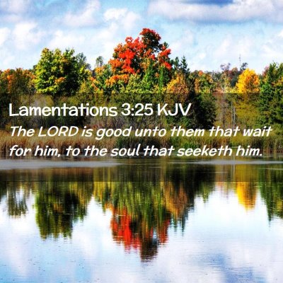 Picture 02 - Lamentations 3:25 KJV - The LORD is good unto them that wait for him, to - Bible Verse Picture