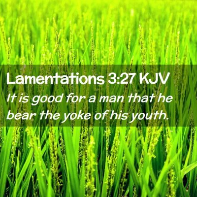 Picture 02 - Lamentations 3:27 KJV - It is good for a man that he bear the yoke of his - Bible Verse Picture