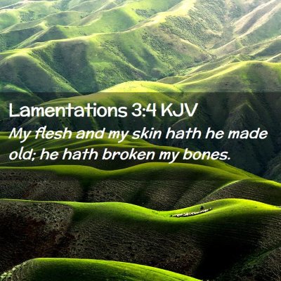 Picture 02 - Lamentations 3:4 KJV - My flesh and my skin hath he made old; he hath - Bible Verse Picture