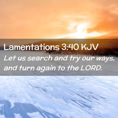 Picture 02 - Lamentations 3:40 KJV - Let us search and try our ways, and turn again to - Bible Verse Picture