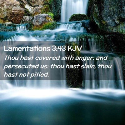 Picture 02 - Lamentations 3:43 KJV - Thou hast covered with anger, and persecuted us: - Bible Verse Picture