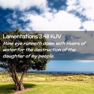 Picture 02 - Lamentations 3:48 KJV - Mine eye runneth down with rivers of water for - Bible Verse Picture