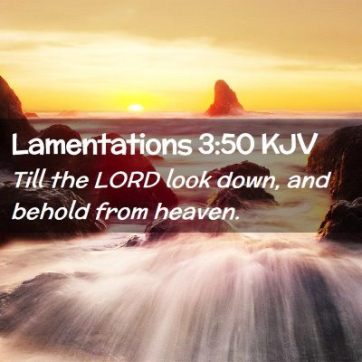 Picture 02 - Lamentations 3:50 KJV - Till the LORD look down, and behold from - Bible Verse Picture