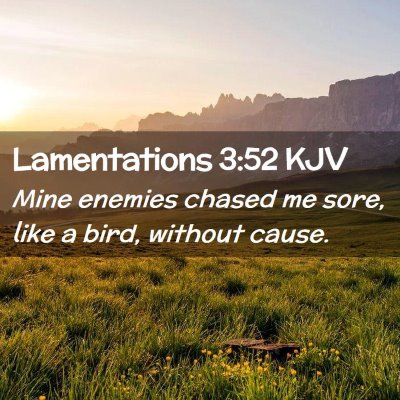 Picture 02 - Lamentations 3:52 KJV - Mine enemies chased me sore, like a bird, without - Bible Verse Picture