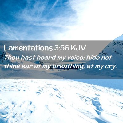 Picture 02 - Lamentations 3:56 KJV - Thou hast heard my voice: hide not thine ear at - Bible Verse Picture