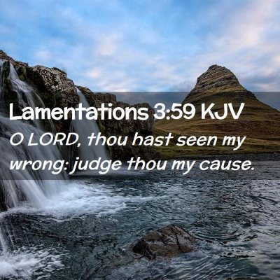 Picture 02 - Lamentations 3:59 KJV - O LORD, thou hast seen my wrong: judge thou my - Bible Verse Picture