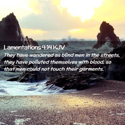 Picture 02 - Lamentations 4:14 KJV - They have wandered as blind men in the streets, - Bible Verse Picture